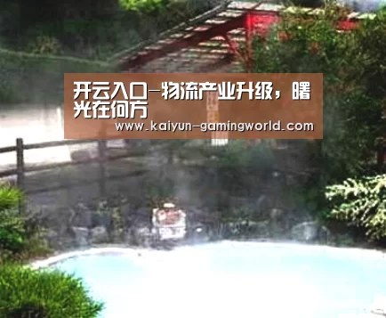 开云入口-物流产业升级,曙光在何方(图2) 开云入口