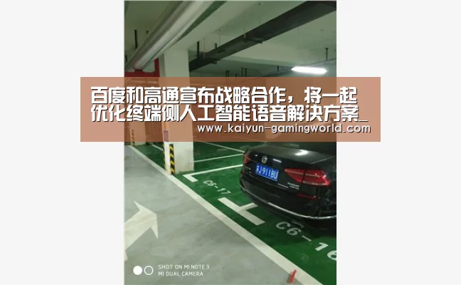 开云入口
