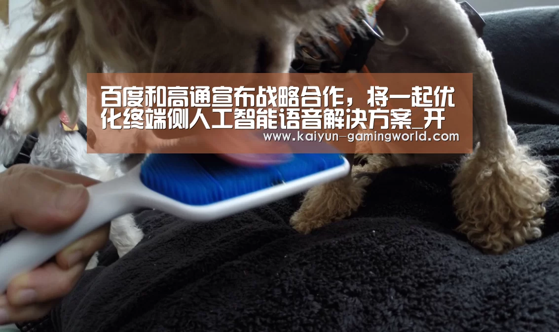开云官网