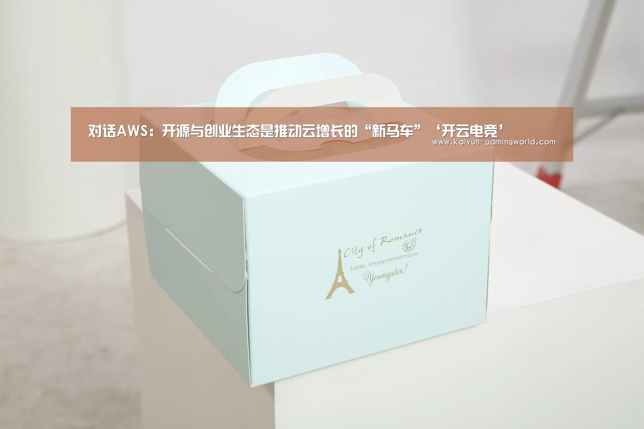 对话AWS:开源与创业生态是推动云增长的“新马车”‘开云电竞’(图3) 开云平台